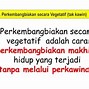 Contoh Perkembangbiakan Dengan Cara Stolon